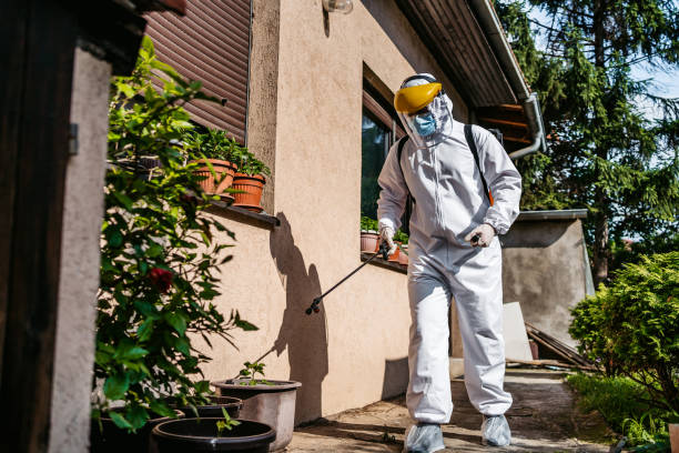 Best Mosquito Control Services  in Comanche, TX