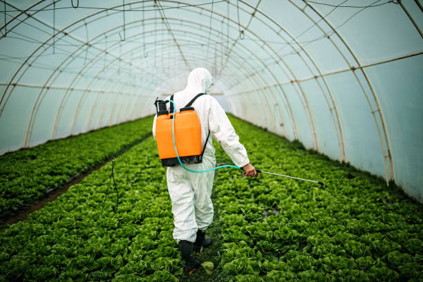 Best Pest Control Near Me  in Comanche, TX