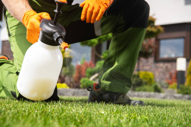 Best Pest Removal Services  in Comanche, TX