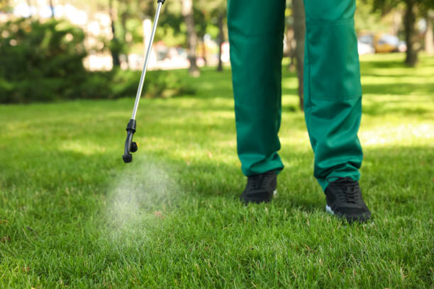 Best Rat Extermination Near Me  in Comanche, TX