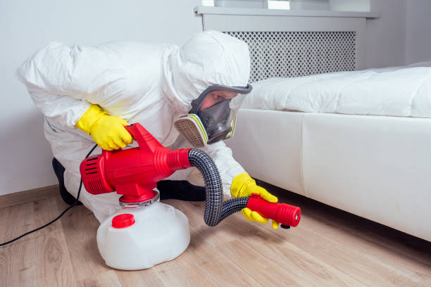 Best Exterminator Services  in Comanche, TX