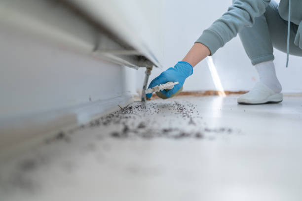 Best Pest Removal Services  in Comanche, TX