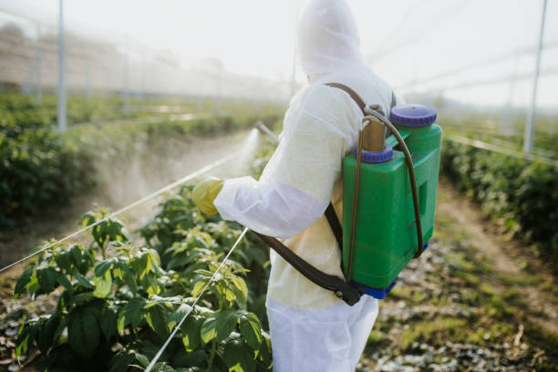 Best Wildlife Control Services  in Comanche, TX